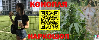 хмурый Заводоуковск